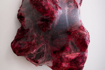 Anish Kapoor - 